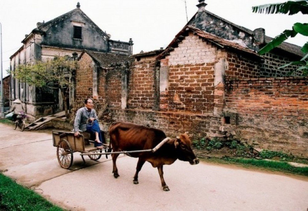 Ancient Gates and Laterite Walls: The Ultimate Guide to a Duong Lam Ancient Village Bike Tour